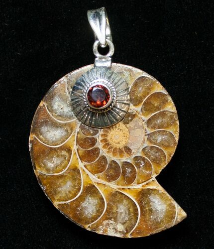 Fossil Ammonite Pendant - Million Years Old #8573